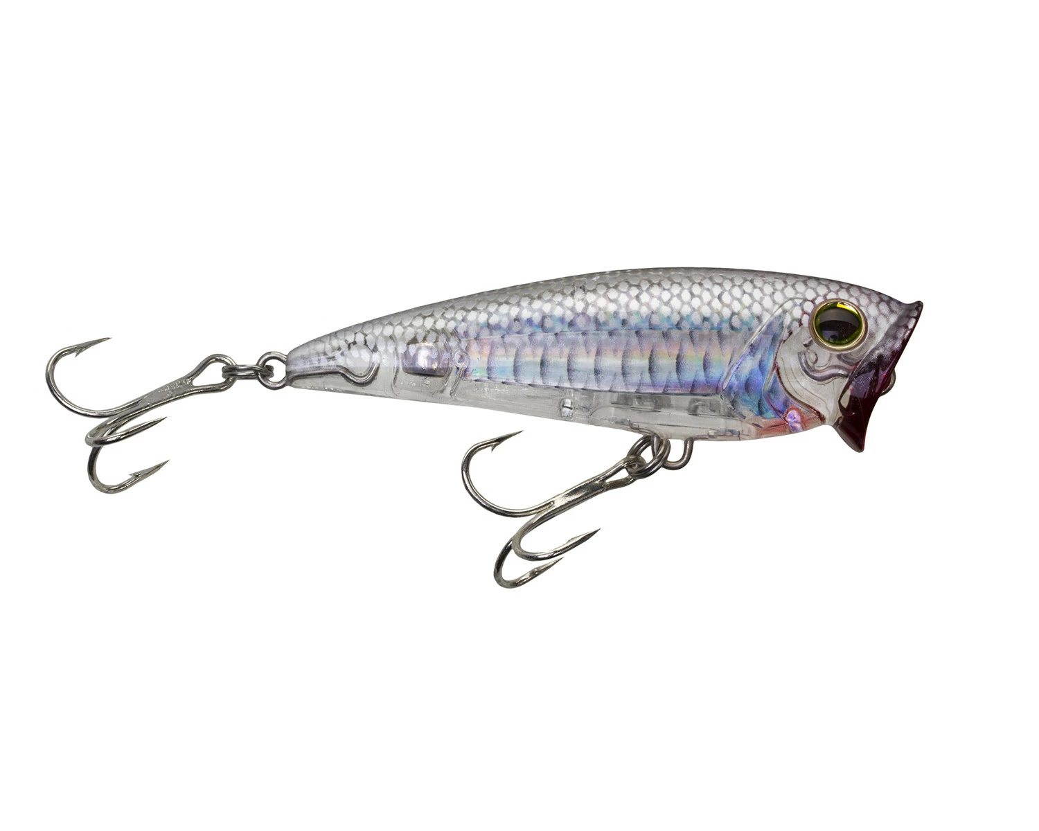 Yo-Zuri 3D Inshore Popper