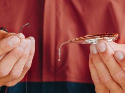 10,000 Fish Shimmer Shad 2.0 5 10,000 Fish Shimmer Shad 2.0 -Karls shop 02 23 2022 chad smith shimmer shad v2 3 1