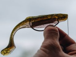 10,000 Fish Shimmer Swimmer 2.0 5 10,000 Fish Shimmer Swimmer 2.0 -Karls shop 02 23 22 chad smith shimmer swimmer v2 11