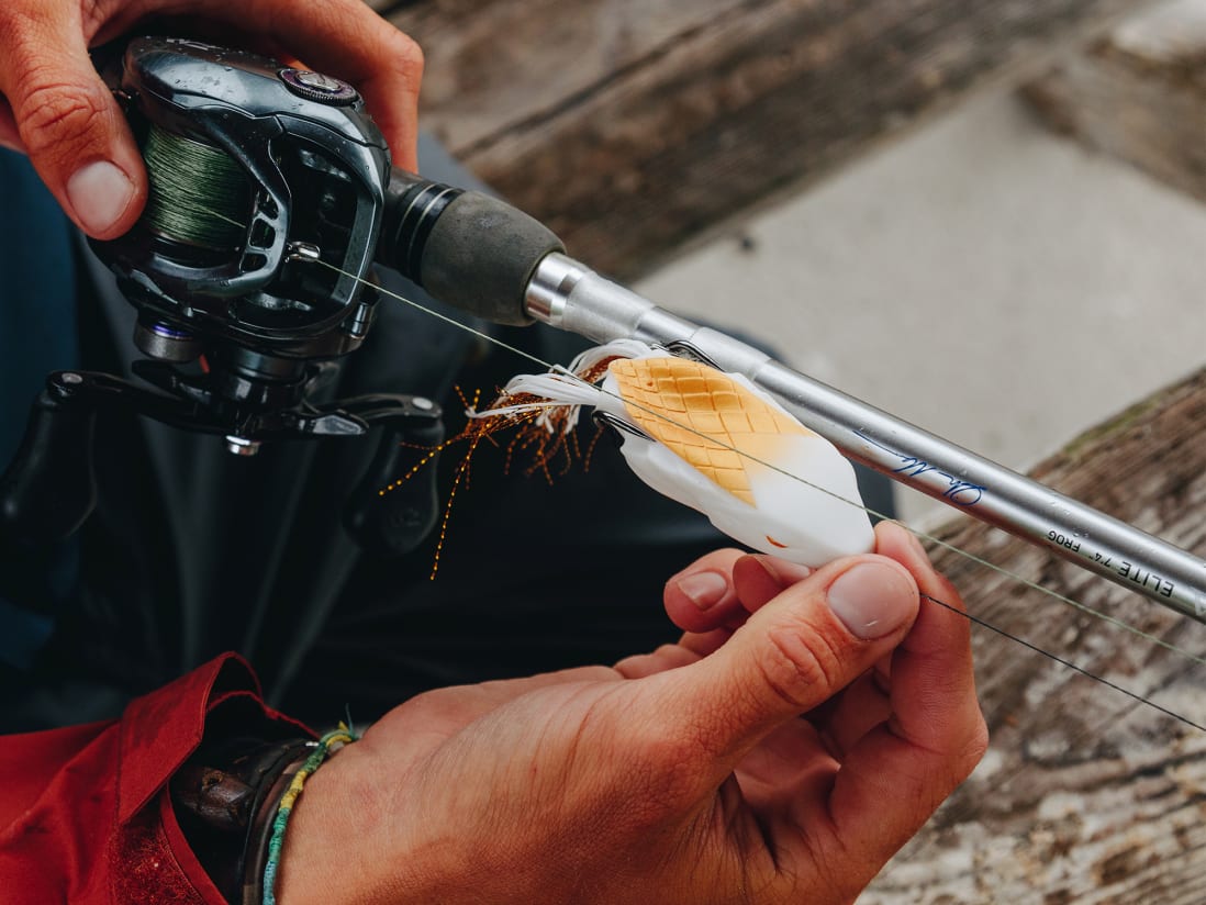 10,000 Fish Tataki Frog 10,000 Fish Tataki Frog -Karls shop 02 23 22 chad smith tataki frog 5