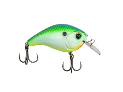 13 Fishing Jabber Jaw