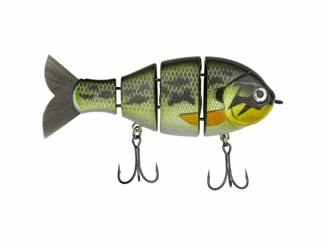 Catch Co. Mike Bucca's Baby Bull Gill