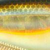 Yo-Zuri 3DB Vibe 2 Yo-Zuri 3DB Vibe -Karls shop 10 01 yzr 10069e prism gold black 1