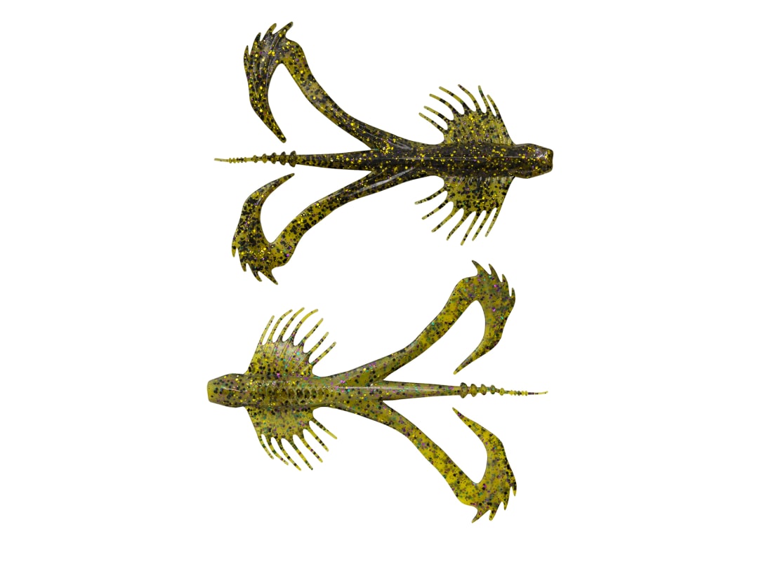 10,000 Fish Zuchi Bug 10,000 Fish Zuchi Bug -Karls shop 10 30 10k 10006j 1