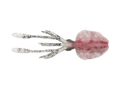 CHASEBAITS Ultimate Squid