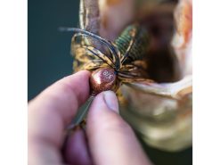 Googan Squad Juicee Jig -Karls shop b35i5494 1 1