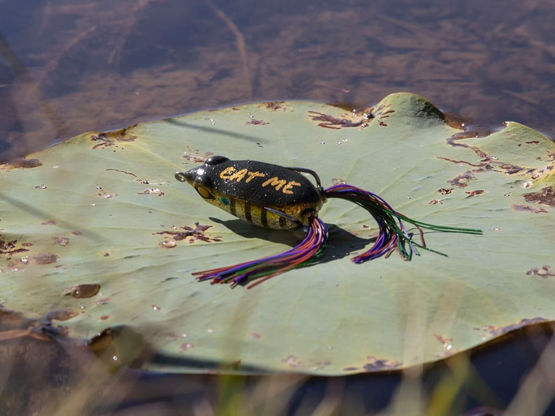 Googan Squad Filthy Frog Googan Squad Filthy Frog -Karls shop b35i7002 1