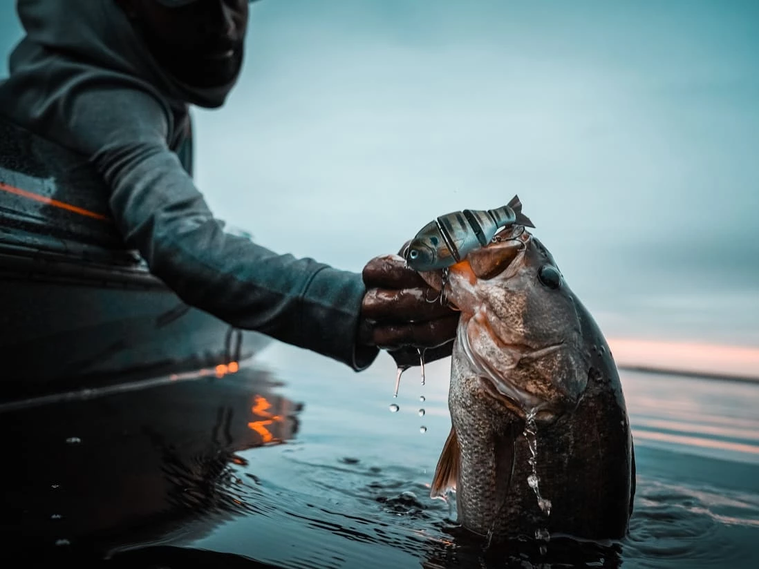 Catch Co. Mike Bucca's Baby Bull Gill - Image 7