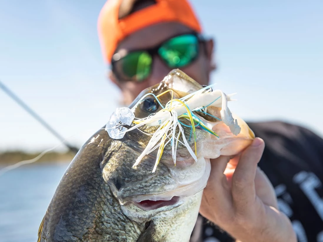 Googan Squad Clickbait® - Image 9