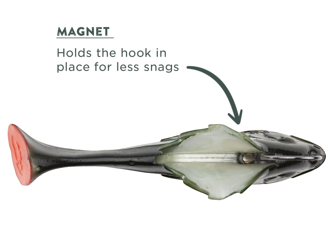 10,000 Fish Head Hunter 10,000 Fish Head Hunter -Karls shop feature headhunter 03a