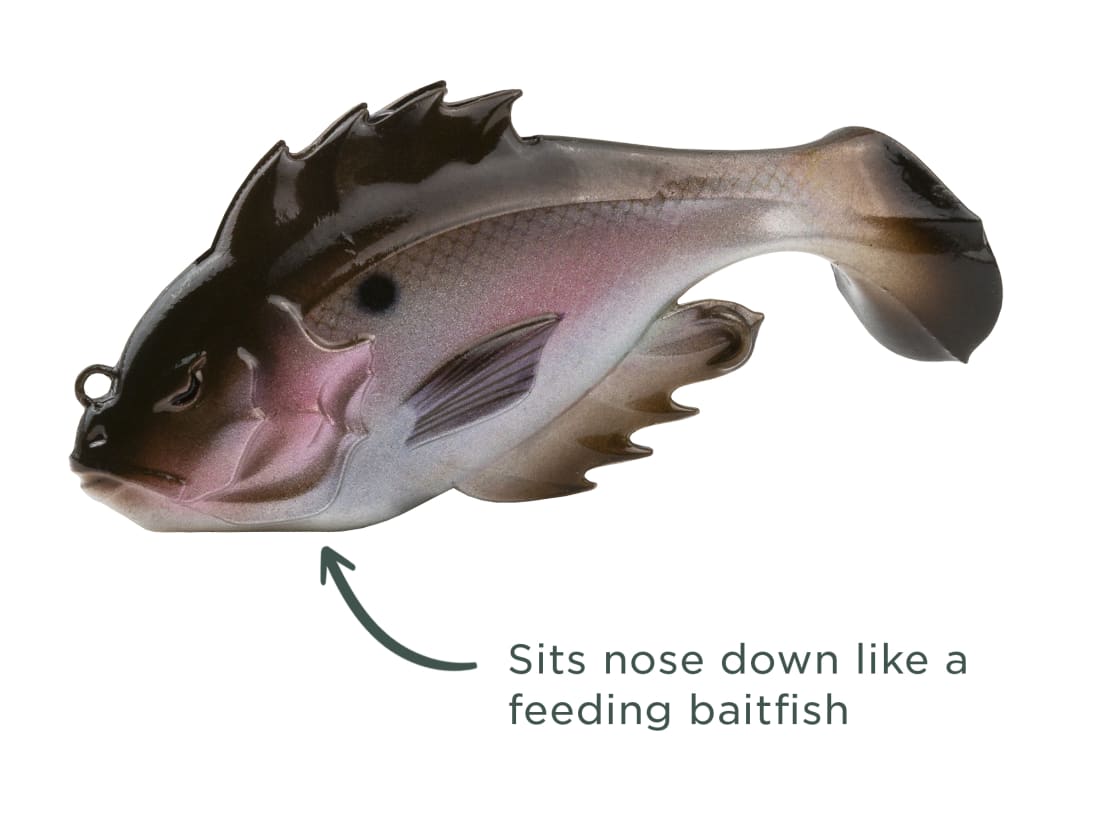 10,000 Fish Head Hunter 10,000 Fish Head Hunter -Karls shop feature headhunter 04a