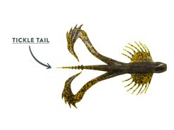 10,000 Fish Zuchi Bug 4 10,000 Fish Zuchi Bug -Karls shop feature zuchibug 1