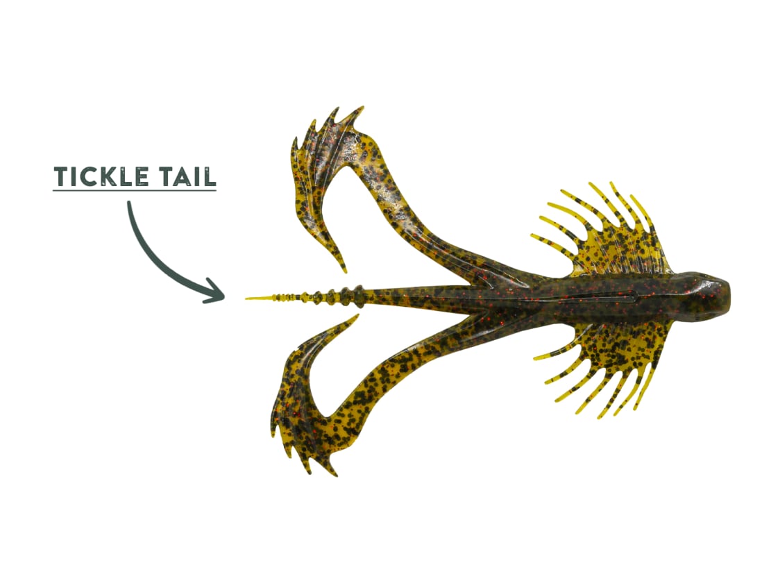 10,000 Fish Zuchi Bug 10,000 Fish Zuchi Bug -Karls shop feature zuchibug 1