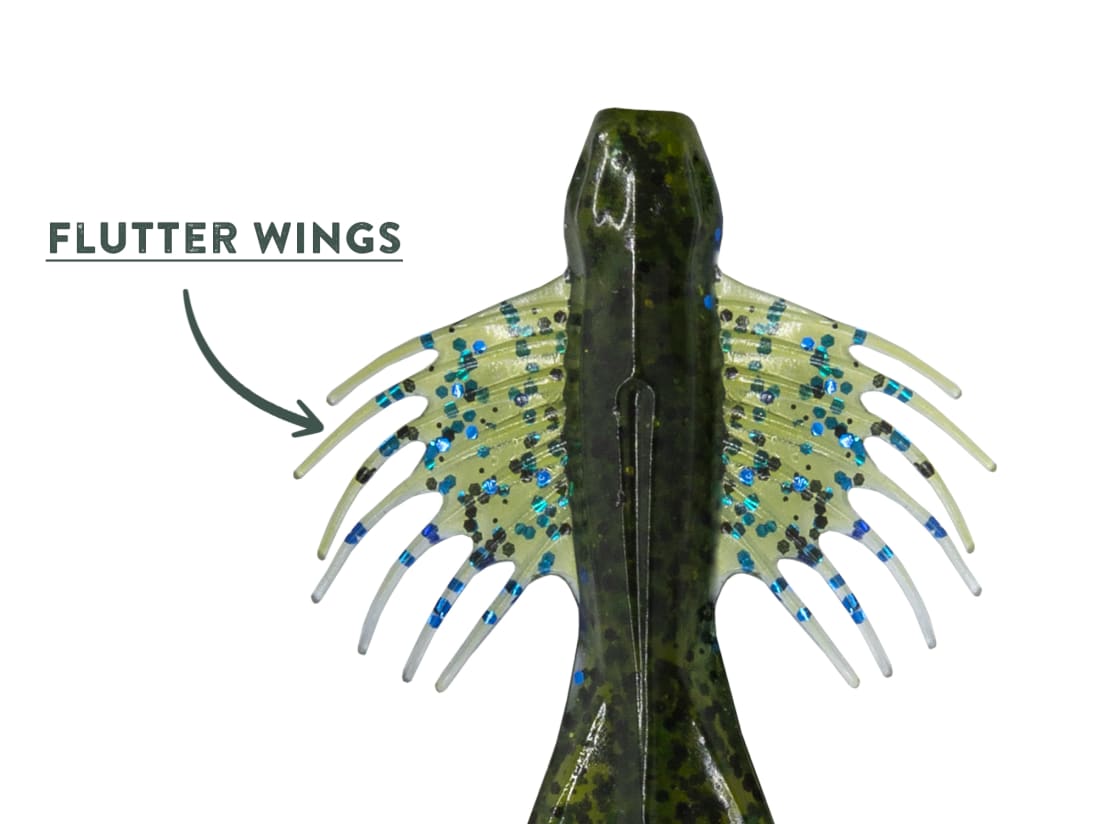 10,000 Fish Zuchi Bug 10,000 Fish Zuchi Bug -Karls shop feature zuchibug 2b