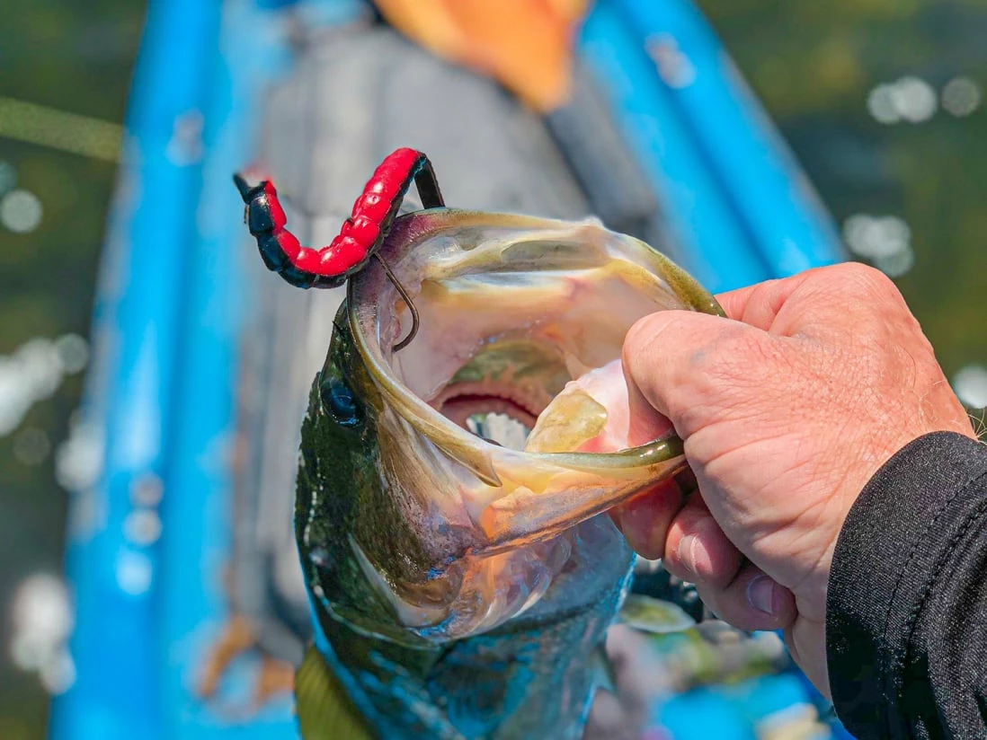 BioSpawn ExoRibbon - Image 4