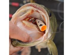 Googan Squad Blooper 5 Googan Squad Blooper -Karls shop img 7405