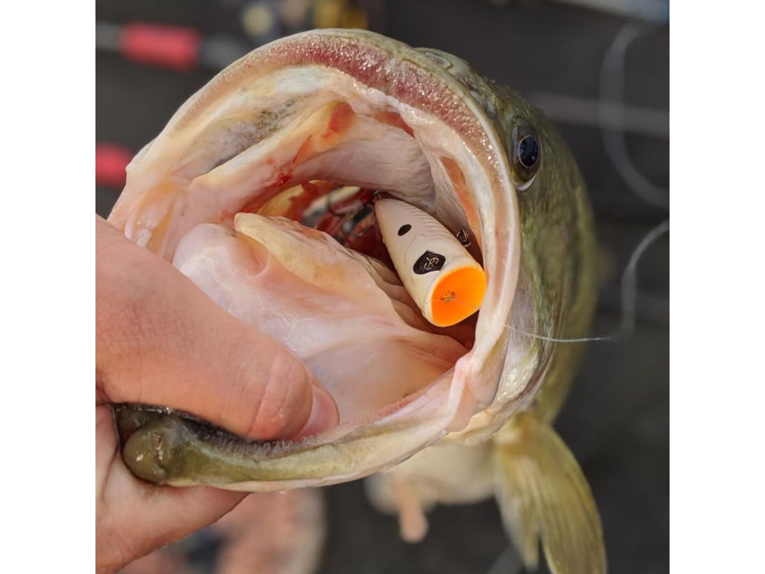 Googan Squad Blooper Googan Squad Blooper -Karls shop img 7405