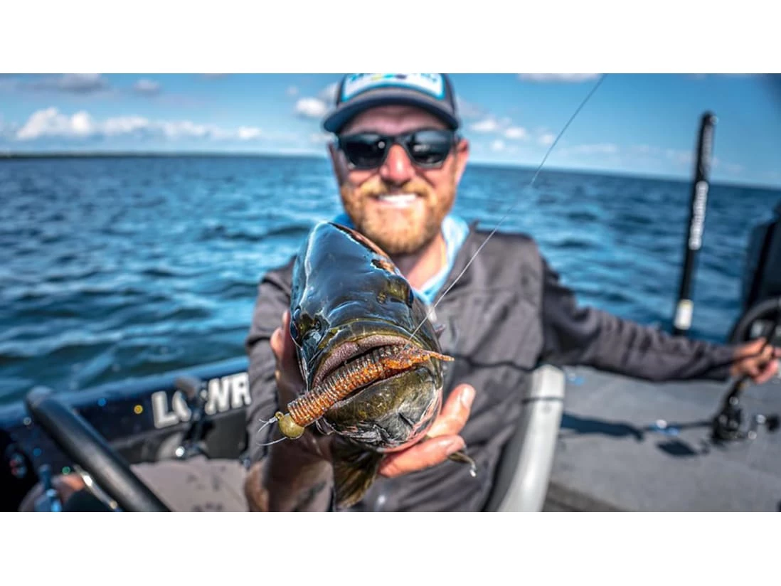 10,000 Fish Sukoshi Bug - Image 5