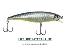 Googan Squad Jr. Scout -Karls shop jrscout feature03