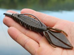 X Zone Lures Pro Series Adrenaline Bug 4 X Zone Lures Pro Series Adrenaline Bug -Karls shop lifestyle adrenaline andrewnordbye 01