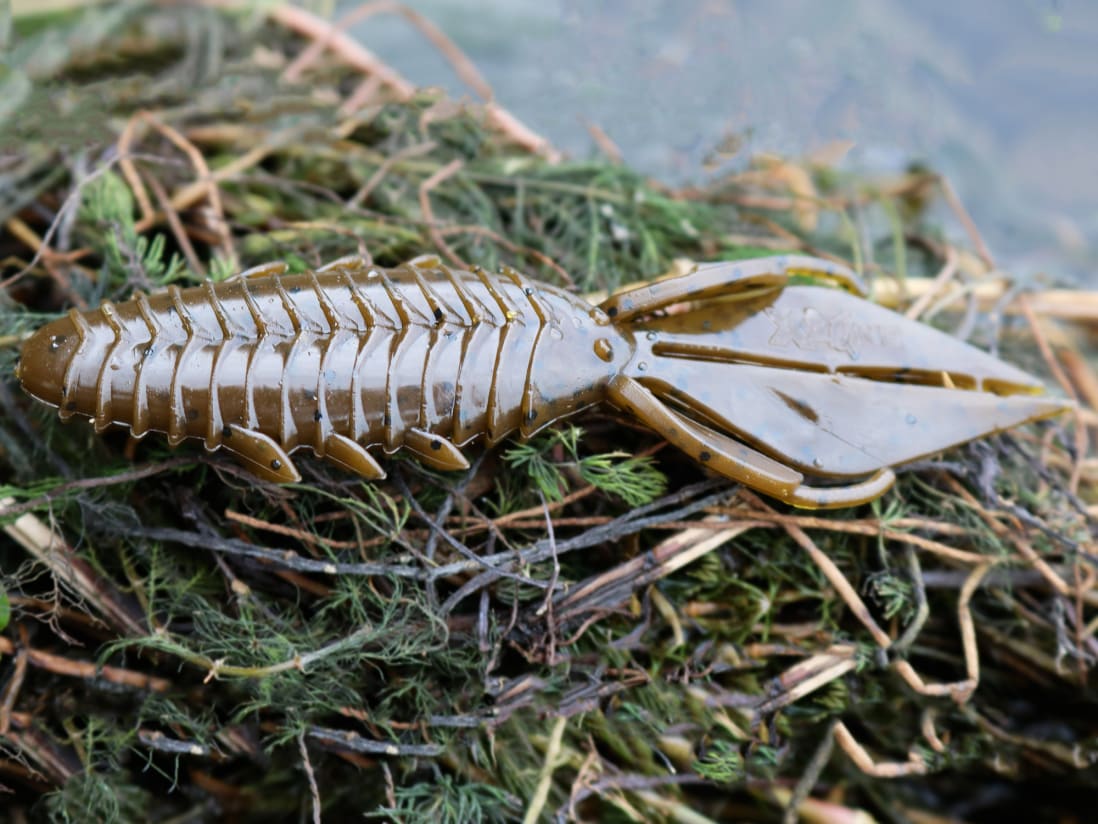 X Zone Lures Pro Series Adrenaline Bug X Zone Lures Pro Series Adrenaline Bug -Karls shop lifestyle adrenaline andrewnordbye 02