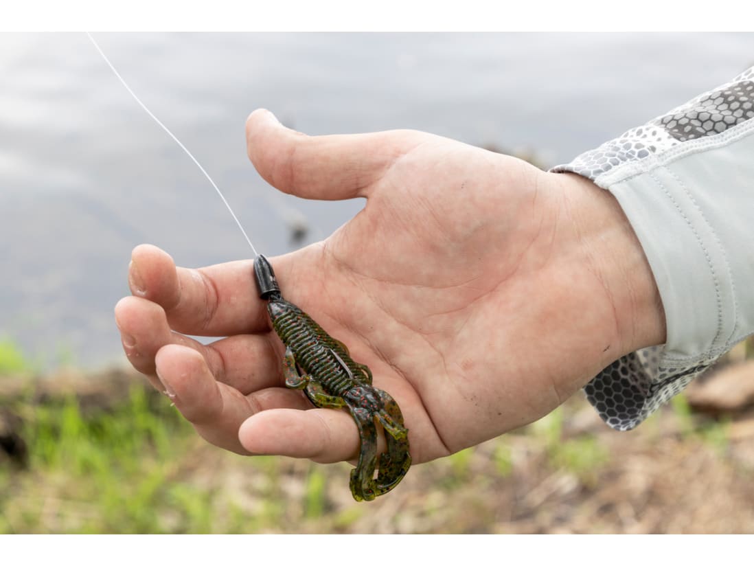 Googan Baits Bandito Bug Googan Baits Bandito Bug -Karls shop lifestyle banditobug googansquad evergreen 05202022 1 1200x800 5b2df79