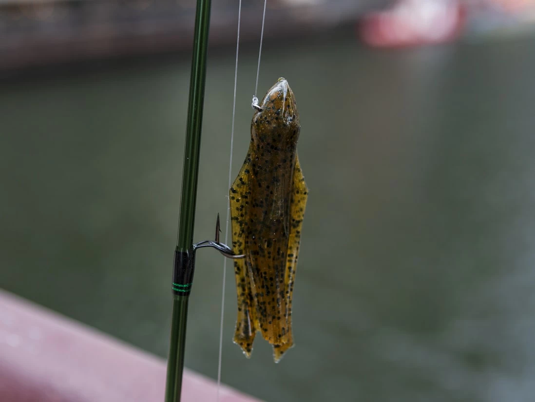 BioSpawn VileTube - Image 7