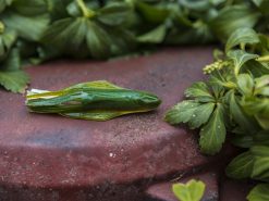 BioSpawn VileTube -Karls shop lifestyle biospawn viletube 05