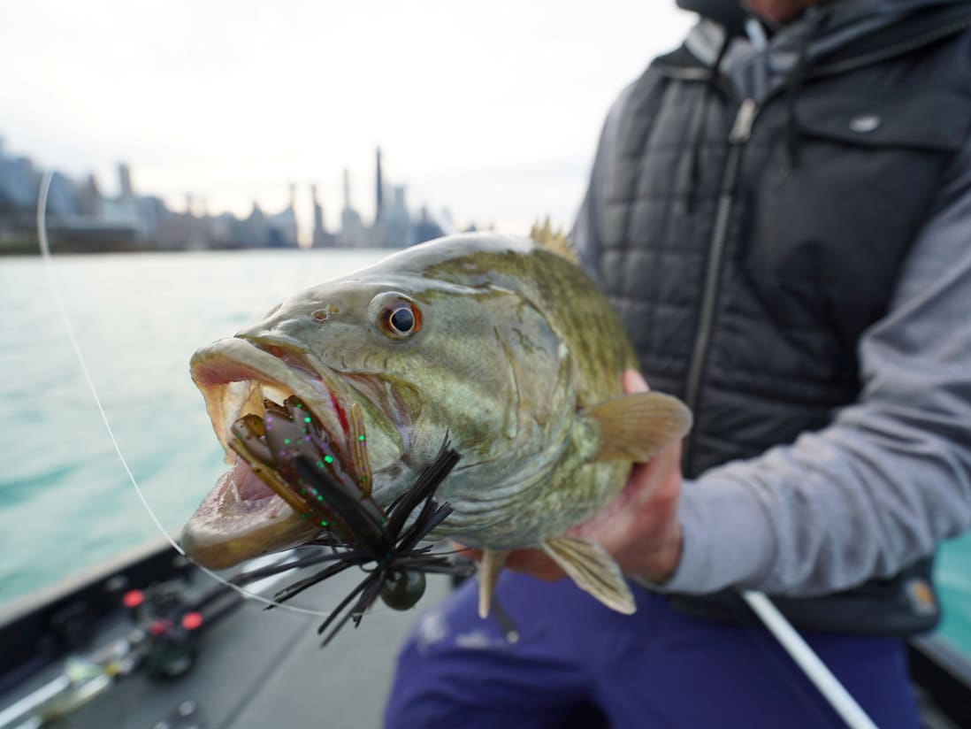 Catch Co. Tight Rope Baby Firework Super Jig Catch Co. Tight Rope Baby Firework Super Jig -Karls shop lifestyle fish tightropejig 1