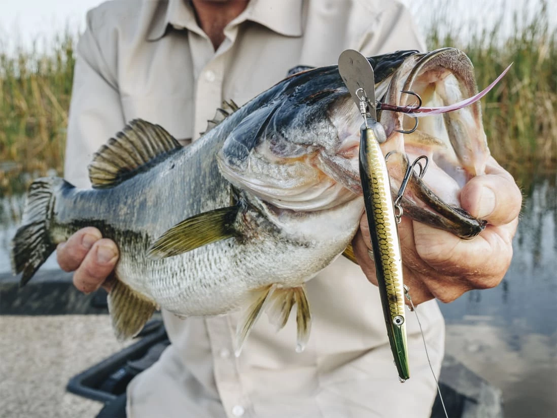 Z-Man Hellraizer - Image 3