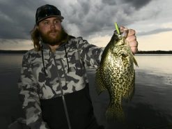 Z-Man Micro TRD -Karls shop lifestyle microtrd zman coppertreuse 3