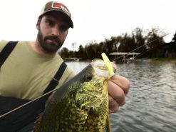 Z-Man Micro TRD -Karls shop lifestyle microtrd zman glowchartreuse 1