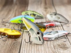 BioSpawn RattleBot 19 BioSpawn RattleBot -Karls shop lifestyle rattlebot baitfish 8 1