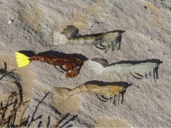 SaltNative Skelly Shrimp -Karls shop lifestyle sln skellyshrimp all 02