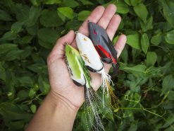 10,000 Fish Tataki Frog 4 10,000 Fish Tataki Frog -Karls shop lifestyle tatakifrog 10k 1