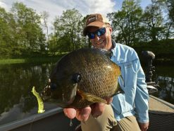 Z-Man Tiny Ticklerz 8 Z-Man Tiny Ticklerz -Karls shop lifestyle tinyticklerz zman fishhand 1