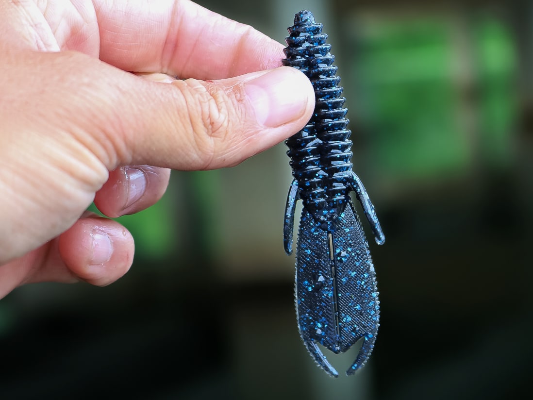 Karl's Amazing Baits Varmint Karl's Amazing Baits Varmint -Karls shop lifestyle varmint andrewnordbye 01