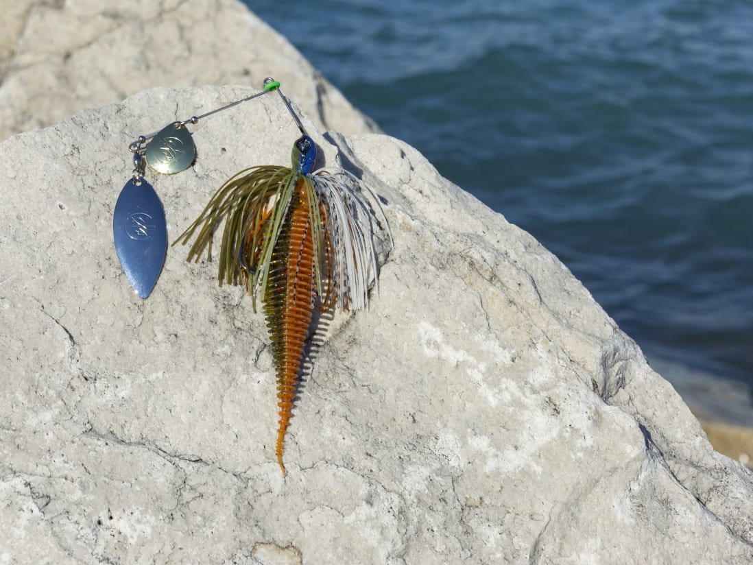 10,000 Fish Yoto Worm 10,000 Fish Yoto Worm -Karls shop lifestyle yotoworm 02