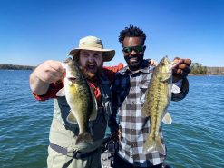 Z-Man SMH Jigheads 4 Z-Man SMH Jigheads -Karls shop lifestyle zman blatkarl 1 1