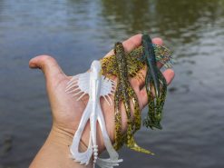 10,000 Fish Zuchi Bug 5 10,000 Fish Zuchi Bug -Karls shop lifestyle zuchibug 01 1