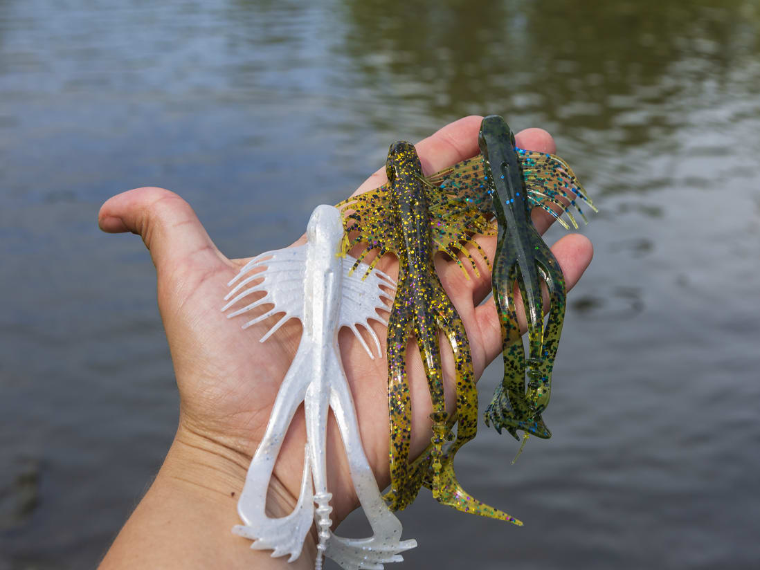 10,000 Fish Zuchi Bug 10,000 Fish Zuchi Bug -Karls shop lifestyle zuchibug 01 1