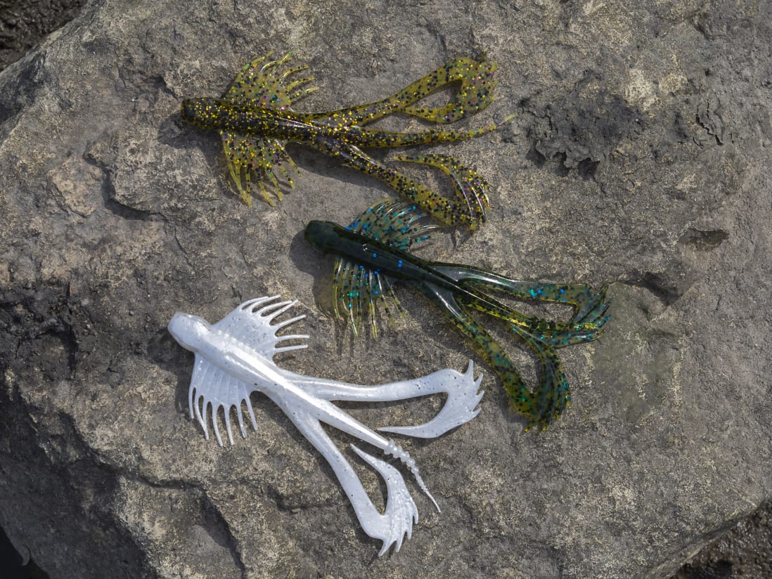 10,000 Fish Zuchi Bug 10,000 Fish Zuchi Bug -Karls shop lifestyle zuchibug 04