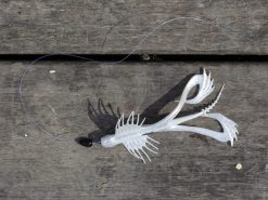 10,000 Fish Zuchi Bug 6 10,000 Fish Zuchi Bug -Karls shop lifestyle zuchibug 06