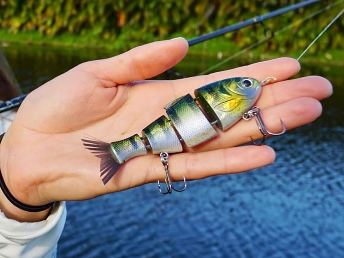 Catch Co. Mike Bucca Baby Bull Shad 4 Catch Co. Mike Bucca Baby Bull Shad - Image 2