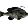 Savage Gear Pulse Tail RTF Bluegill -Karls shop pulsetail rtf bluegill ghostgill 1