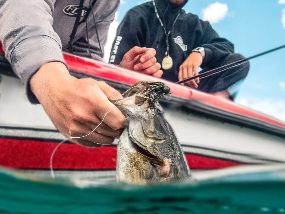 Catch Co. Tight Rope Baby Firework Super Jig Catch Co. Tight Rope Baby Firework Super Jig -Karls shop tight rope jigs fish crop 3