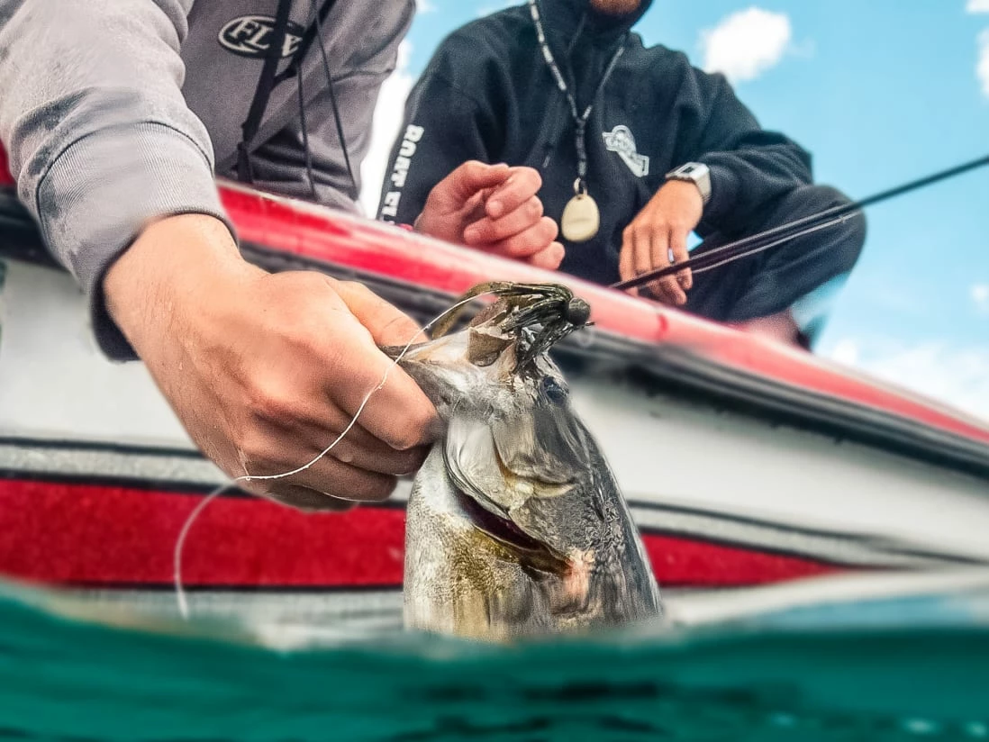 Catch Co. Tight Rope Baby Firework Super Jig - Image 8