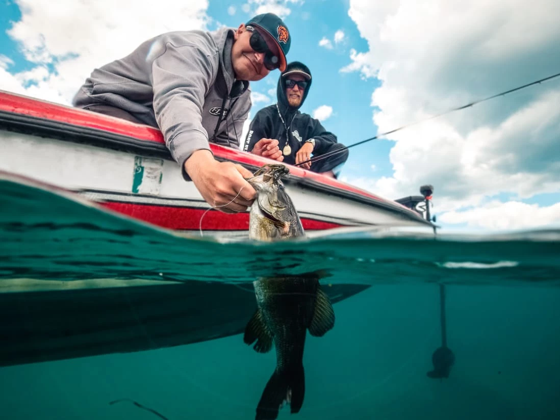 Catch Co. Tight Rope Baby Firework Super Jig - Image 6