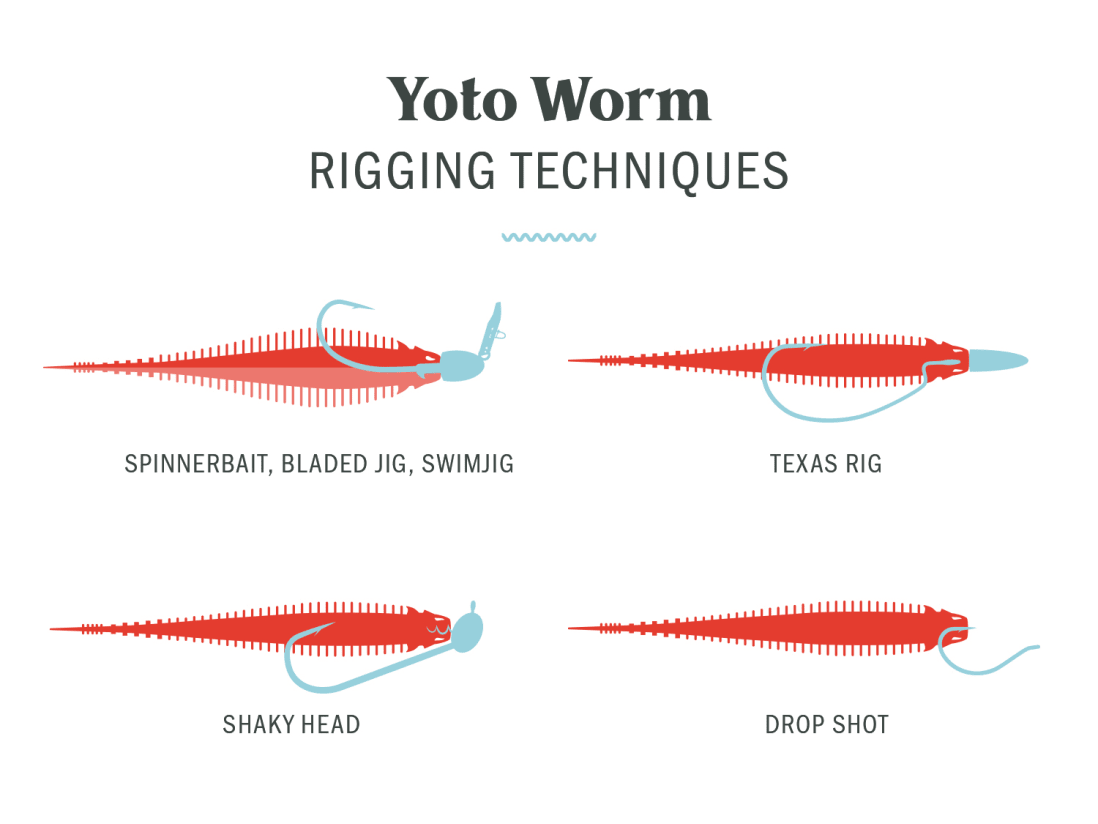 10,000 Fish Yoto Worm 10,000 Fish Yoto Worm -Karls shop yotoworm rigging techniques 1